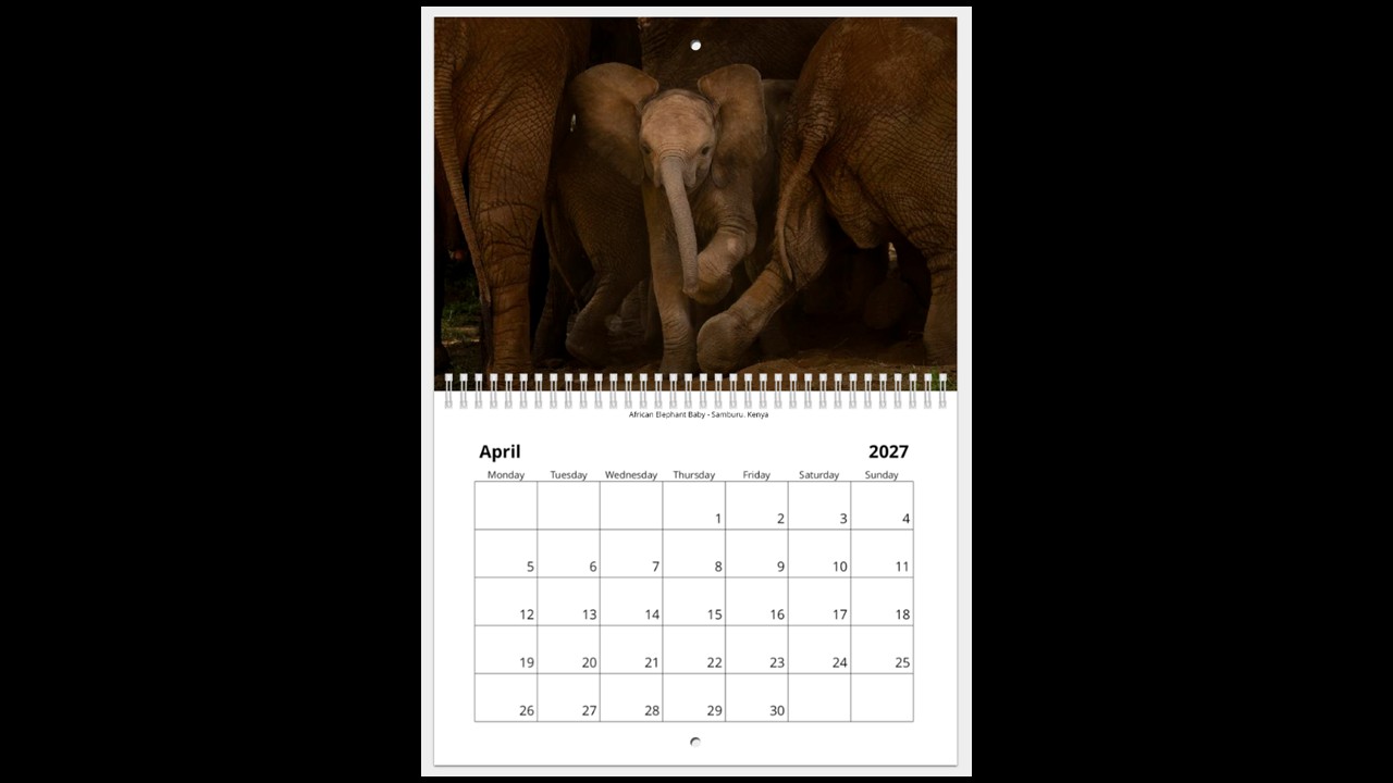 World Wildlife Calendar 2027 - Image 5