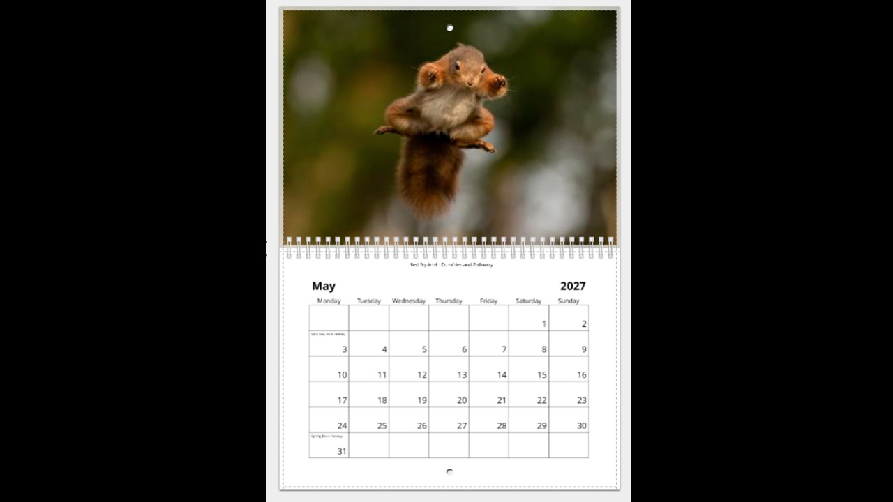 Scottish Wildlife Calendar 2027 - Image 6