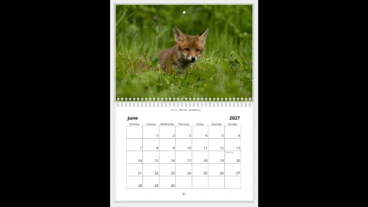 Scottish Wildlife Calendar 2027 - Image 7