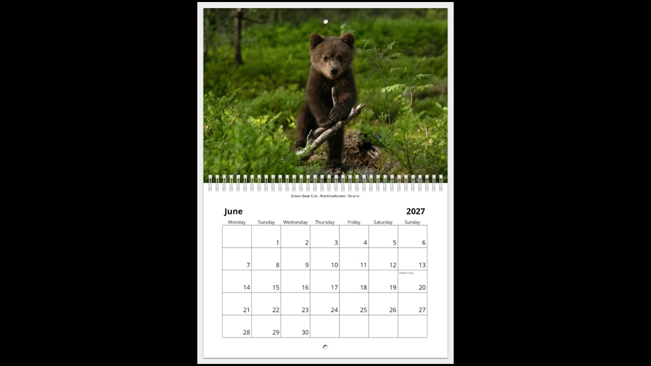 World Wildlife Calendar 2027 - Image 7