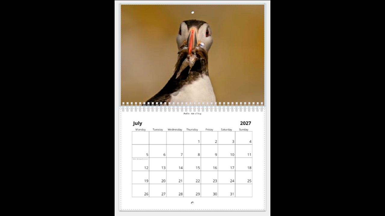 Scottish Wildlife Calendar 2027 - Image 8