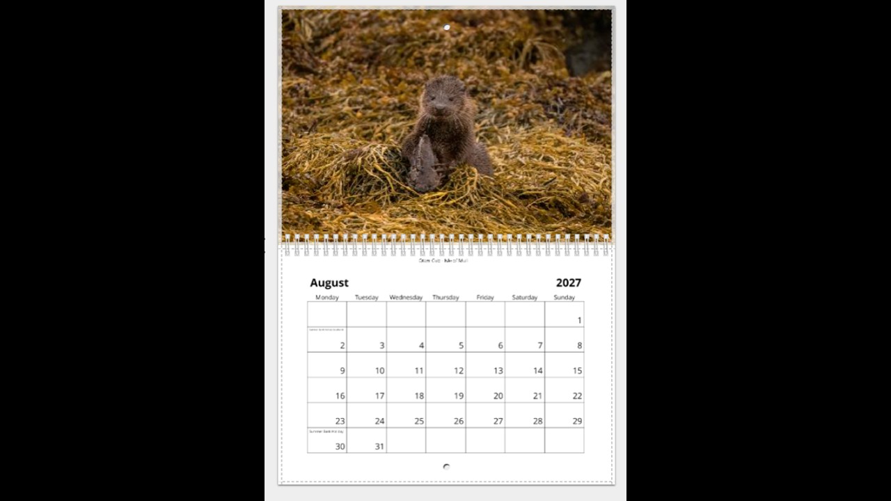 Scottish Wildlife Calendar 2027 - Image 9