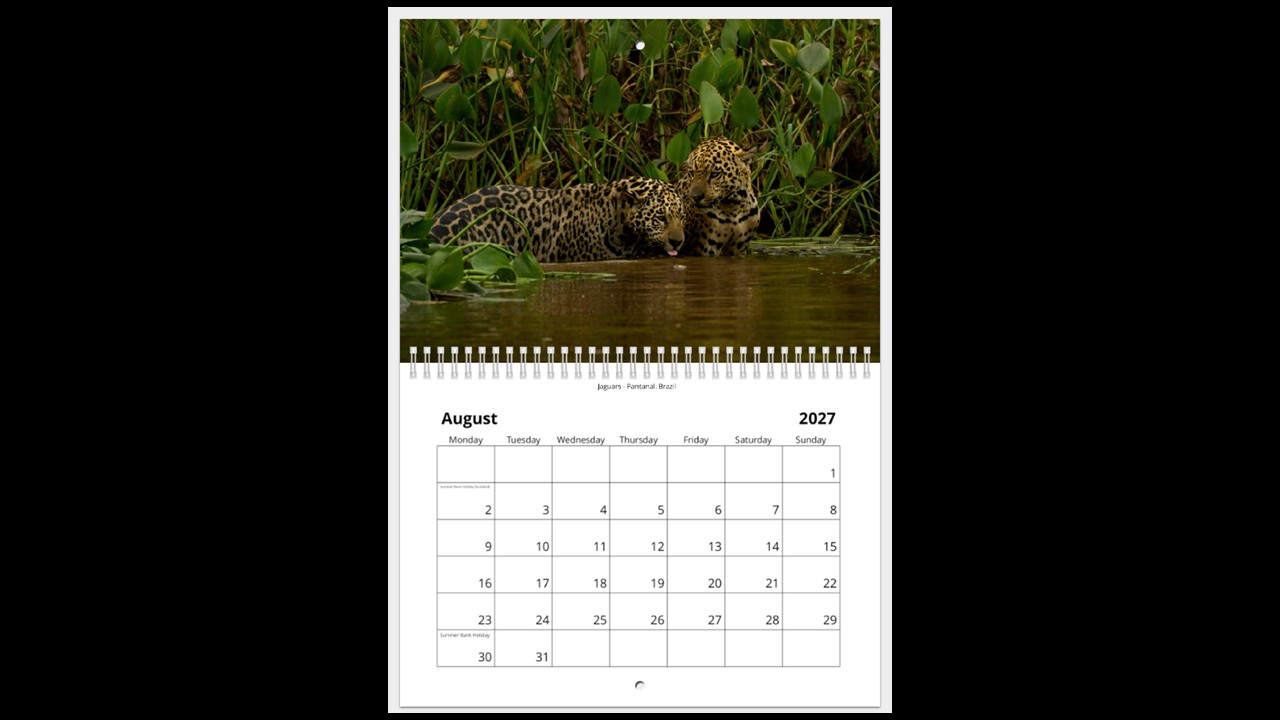 World Wildlife Calendar 2027 - Image 9